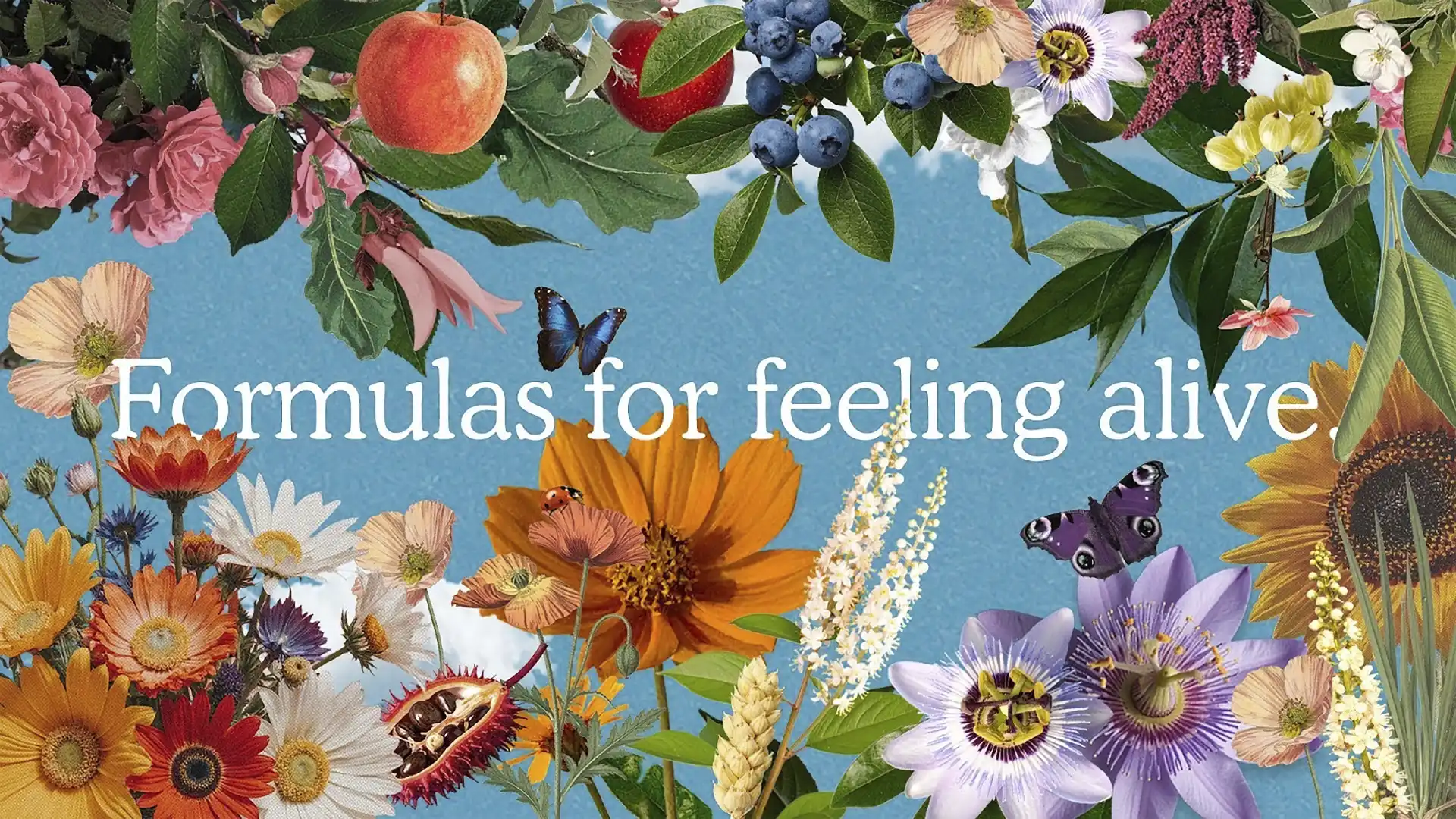 Flowers, fruit, and butterflies frame the line Formulas for feeling alive on a blue sky