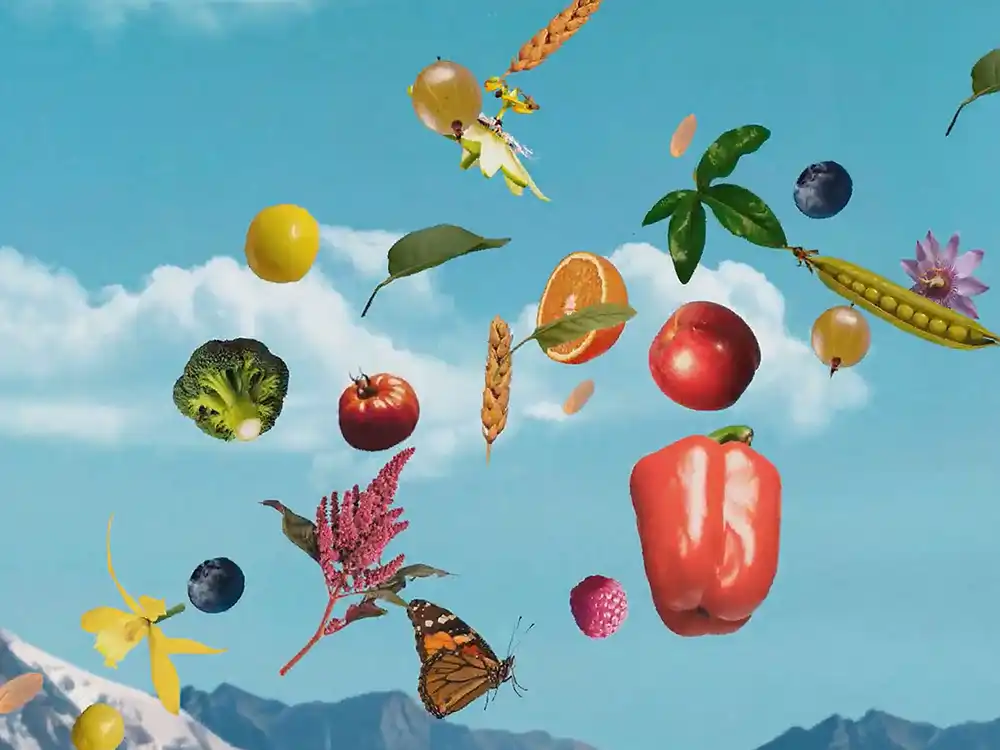 Fruit, vegetables, wheat, and a butterfly float in a blue sky over mountains, from Garden of Life's Formulas for Feeling Alive